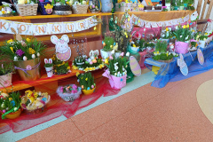 IMG_20260401_112930